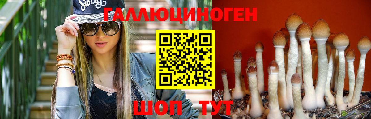 Галлюциногенные грибы прущие грибы  Вход с VPN  Ноябрьск 
